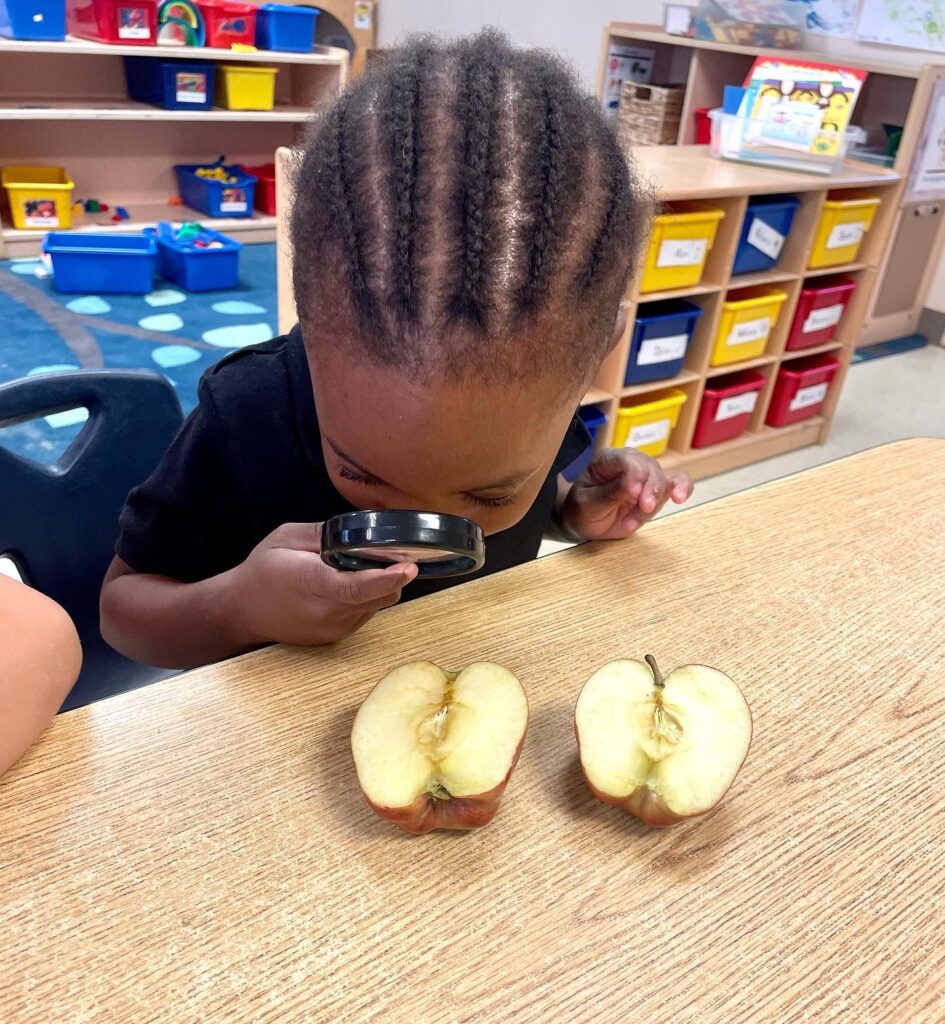 A little girl checking the apple with a magnifying glass